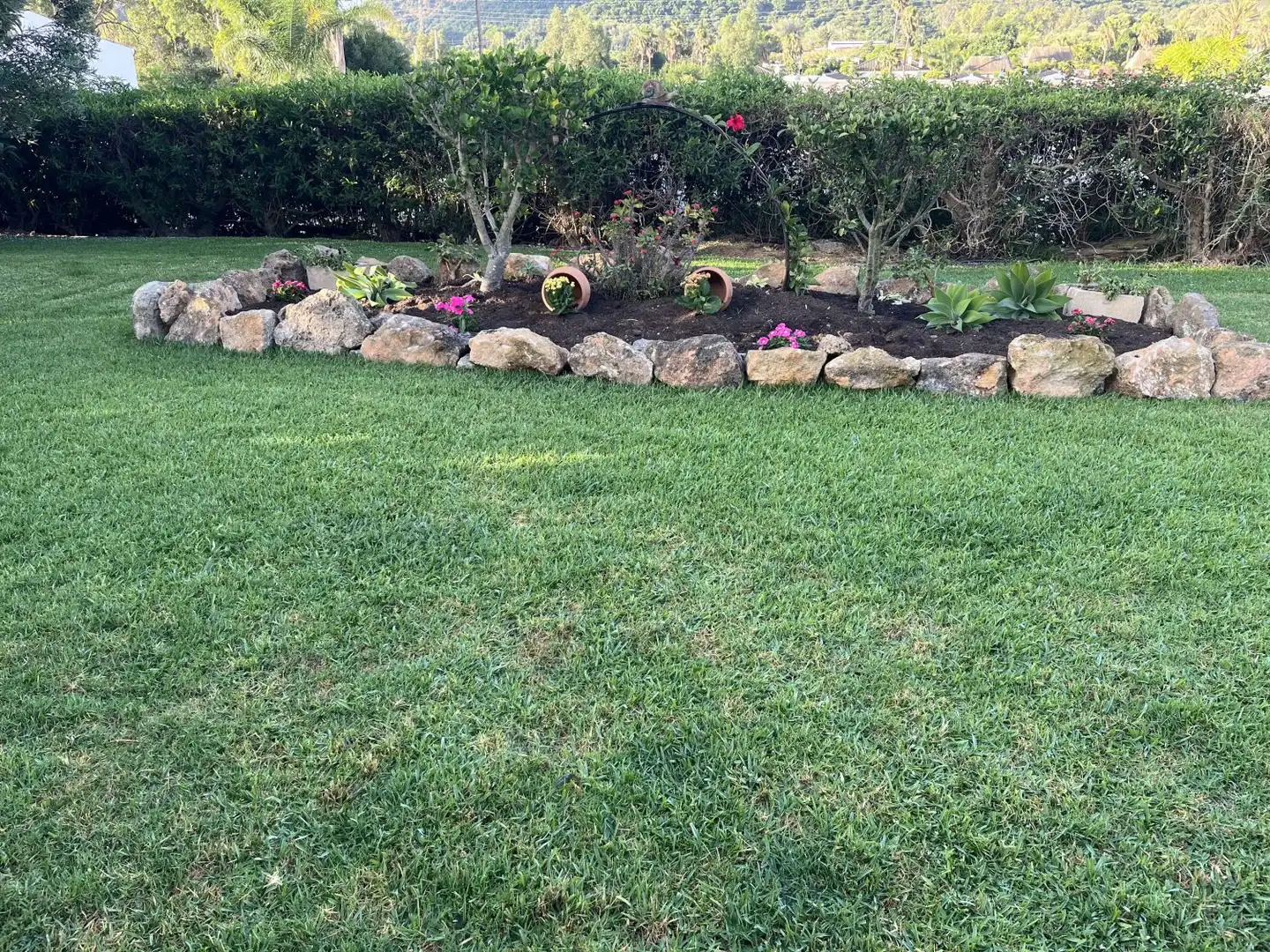 Jardí de Apartament de lloguer en Vejer de la Frontera amb Terrassa