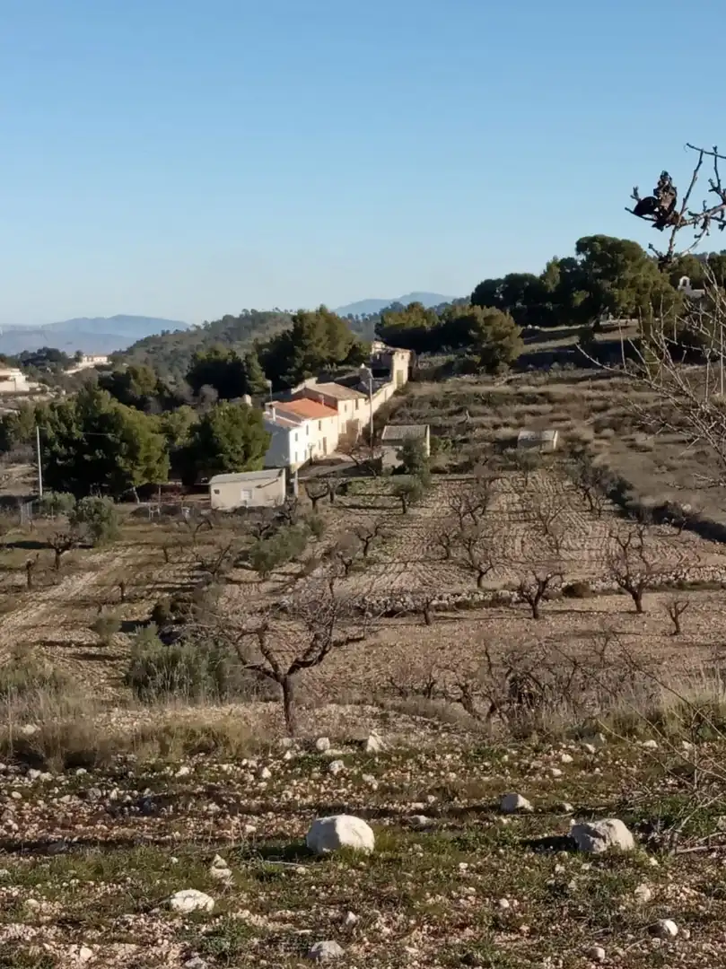 Casa rústica en venda a Ricote, imagen 22