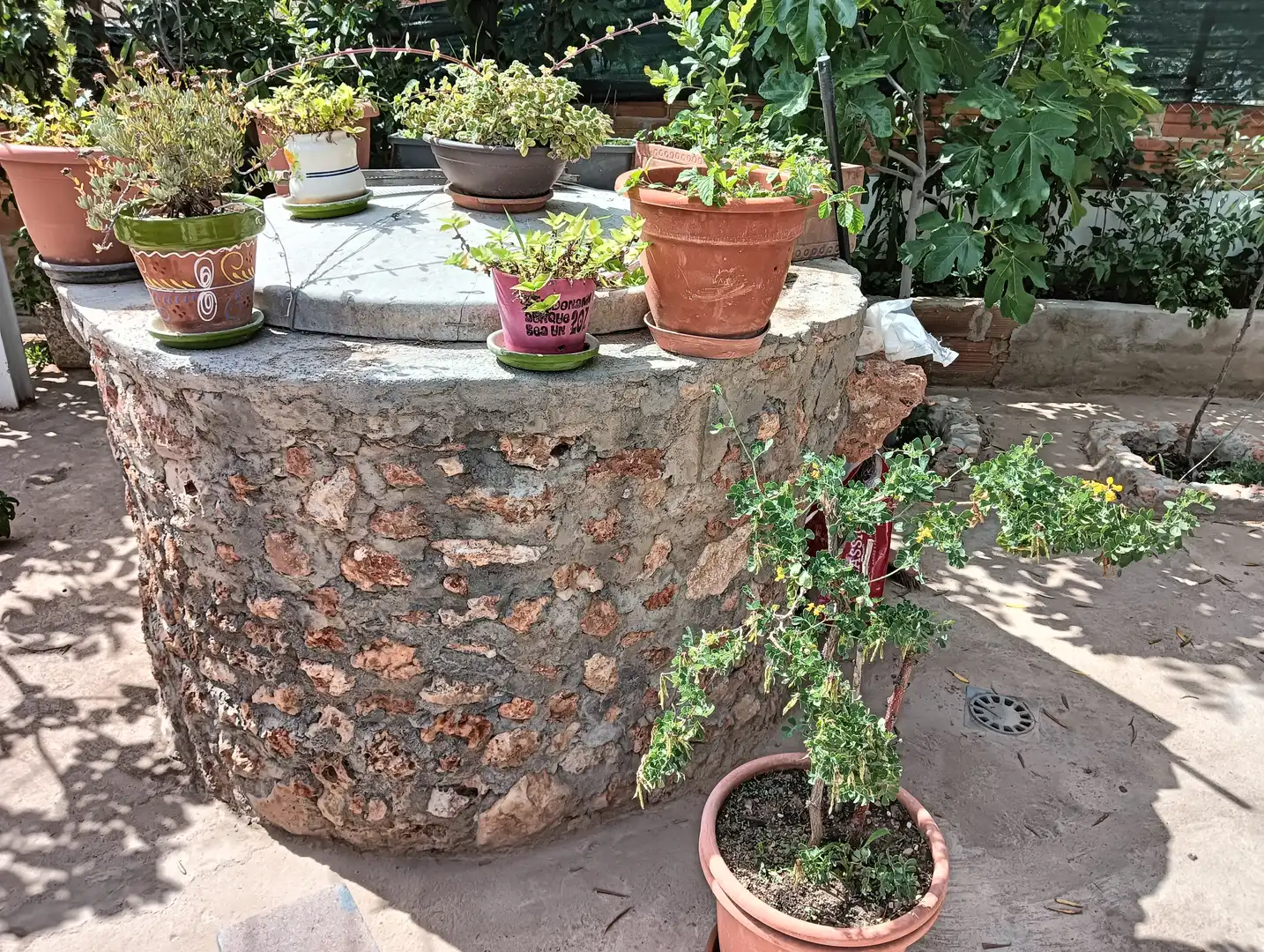 Terrasse von Haus oder Chalet zum Verkauf in La Bisbal del Penedès mit Heizung, Privatgarten und Terrasse