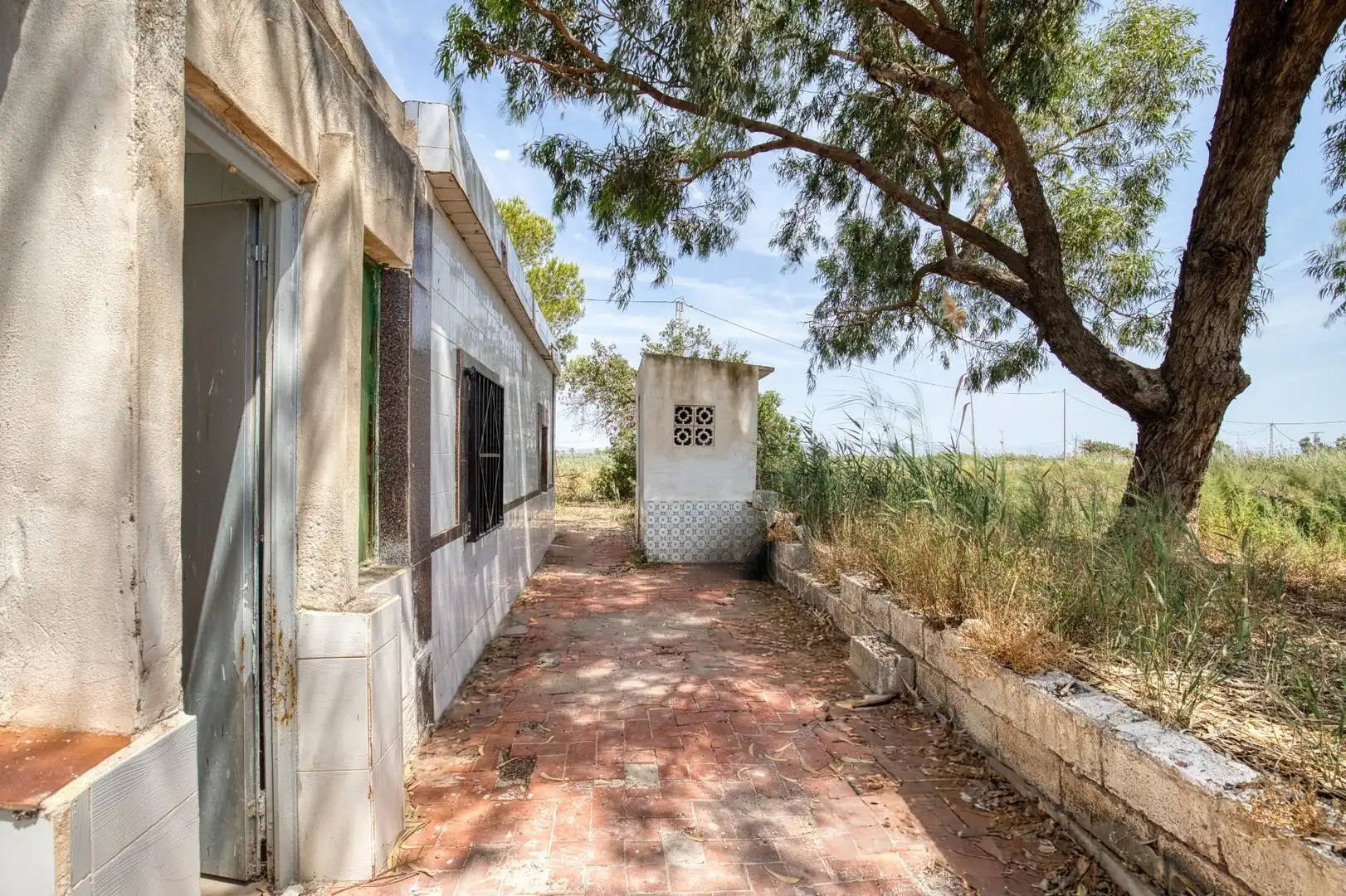 Vista exterior de Finca rústica en venta en Elche / Elx con Jardín privado, Terraza y Trastero