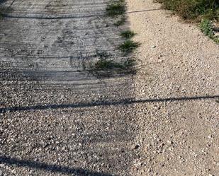 Exterior view of Industrial land for sale in Elche / Elx