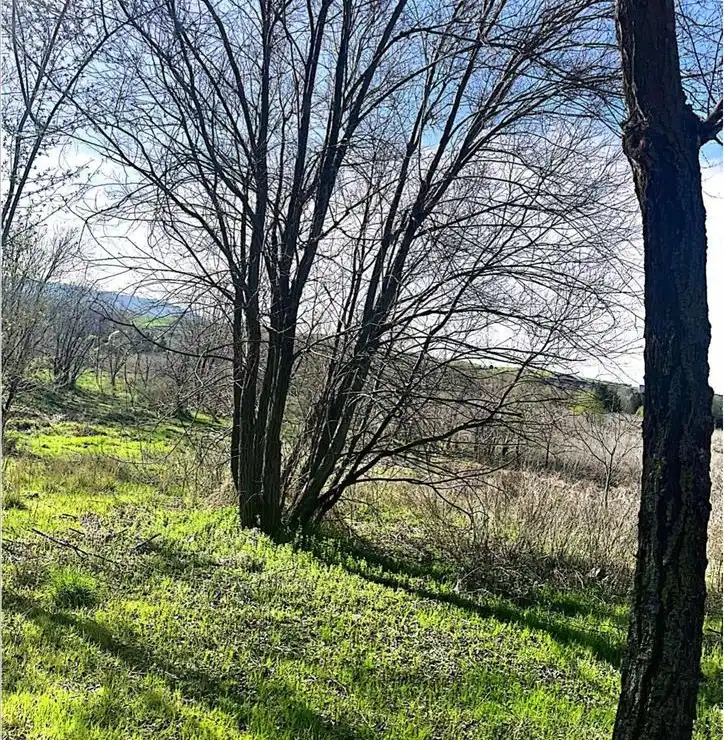 Residential land for sale in SP.P.P.12, imagen 10