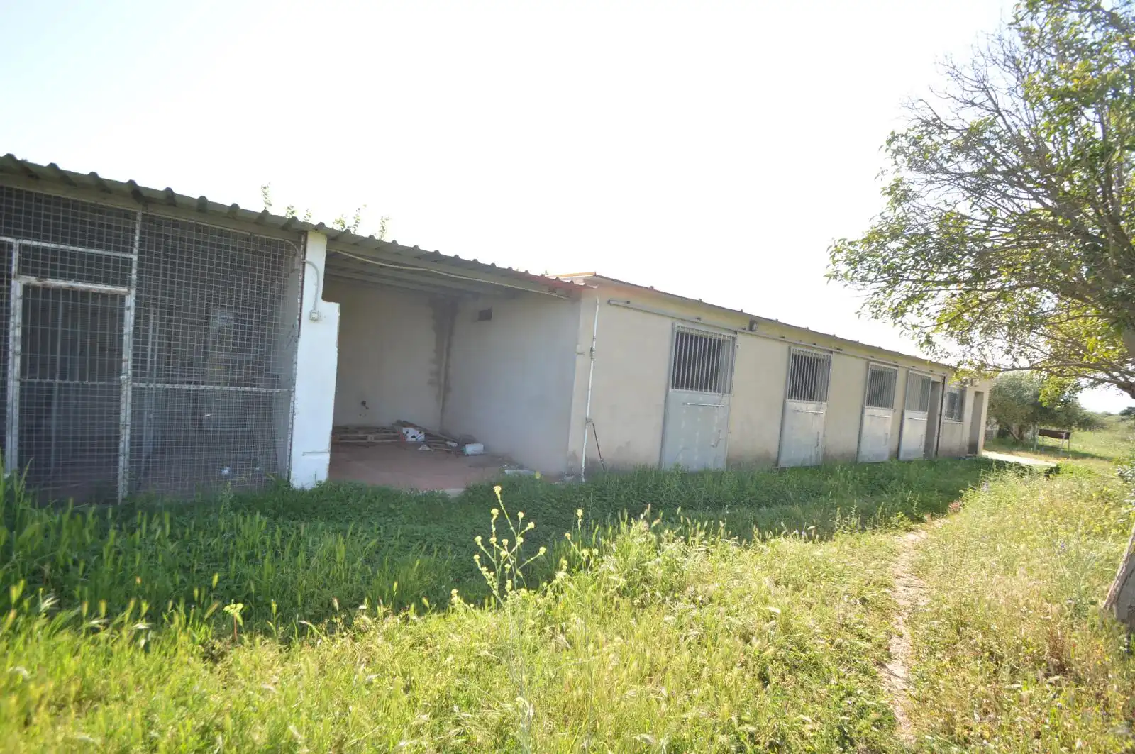 Terreno rustico in vendita a Partidas de interior - Zona Rústica, imagen 32