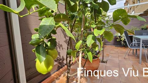 Photo 3 of Flat for sale in Torre-Sana, Barcelona