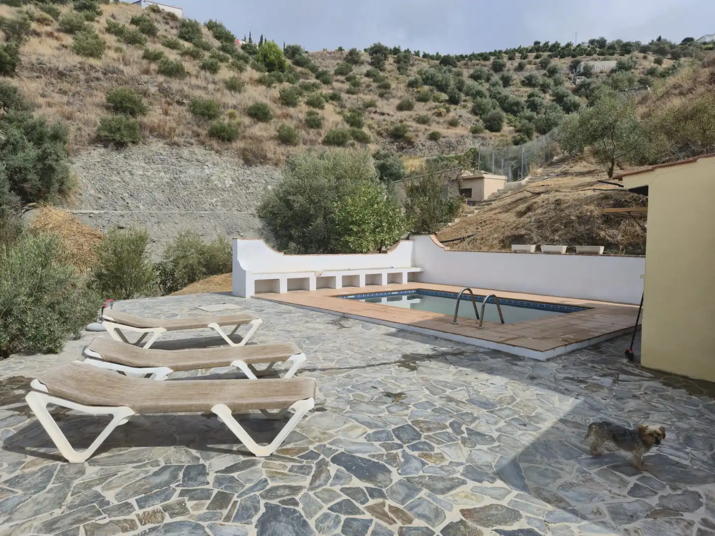 Piscina de Casa o xalet de lloguer en Almuñécar amb Aire condicionat, Calefacció i Jardí privat