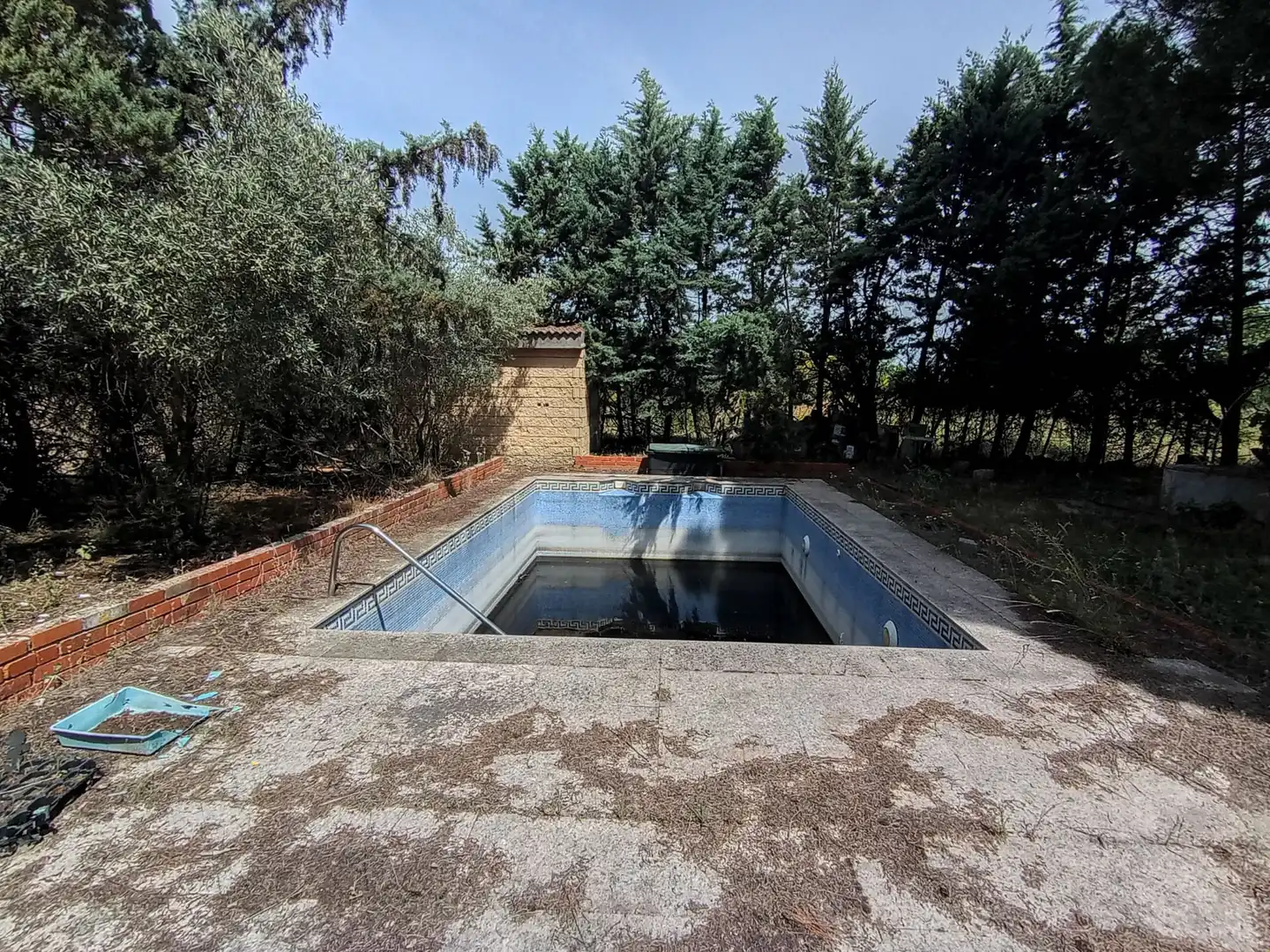 Piscina de Casa o chalet en venta en Villanueva de la Cañada con Piscina