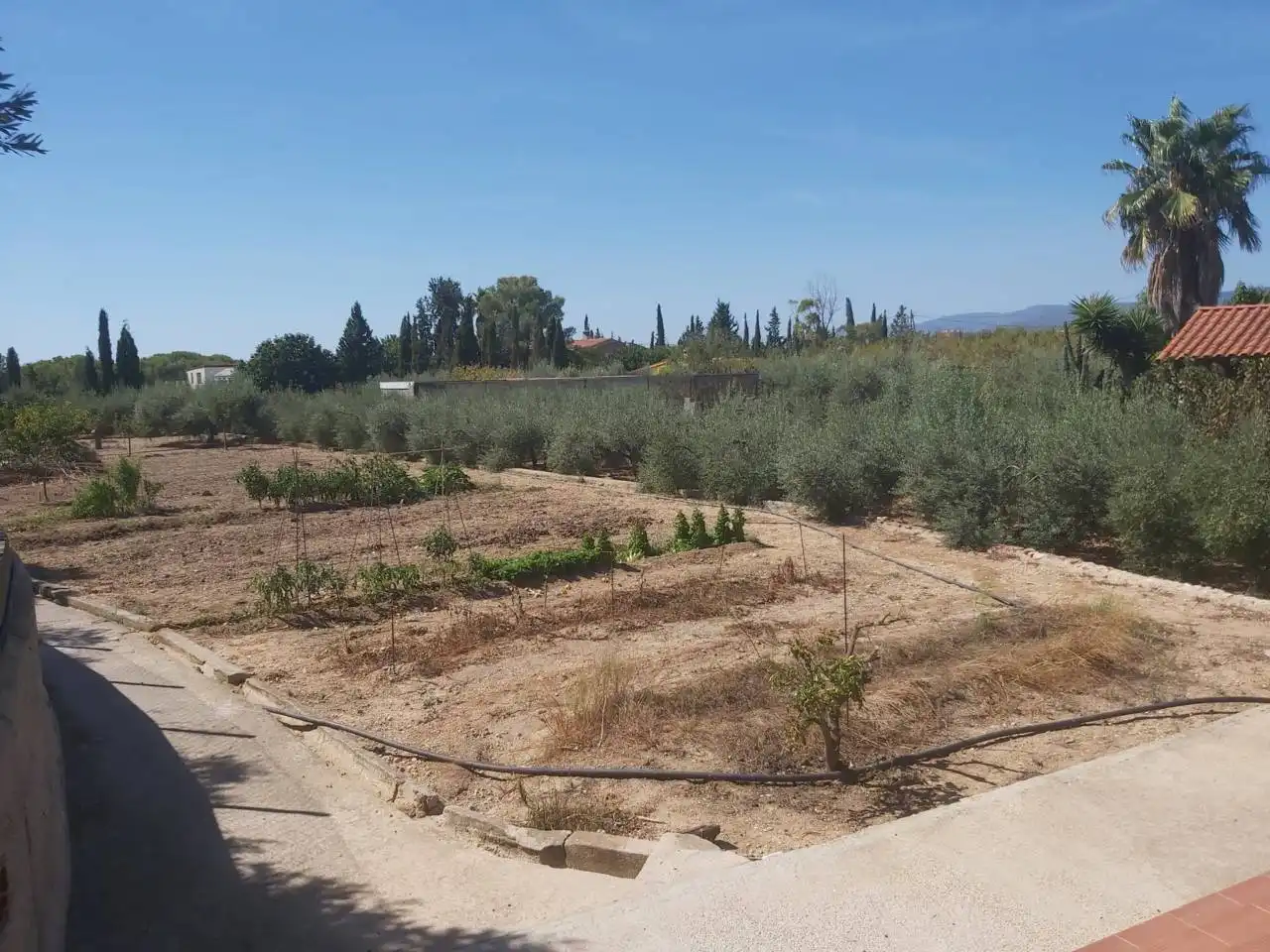 Casa rustica con piscina in vendita a Valls, imagen 15