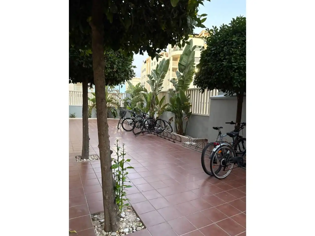 Parking de Apartamento de alquiler en Daimús con Terraza y Piscina comunitaria