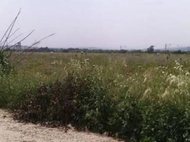 Lands and plots for sale in Ampliación de la azucarera
