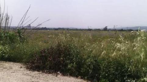 Foto 2 de Traster en venda a Ampliación de la Azucarera, El Carpio, Córdoba