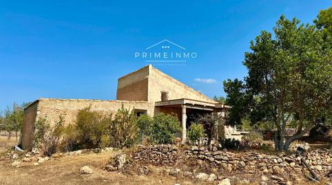 Foto 4 de Finca rústica en venta en El Perelló, Tarragona