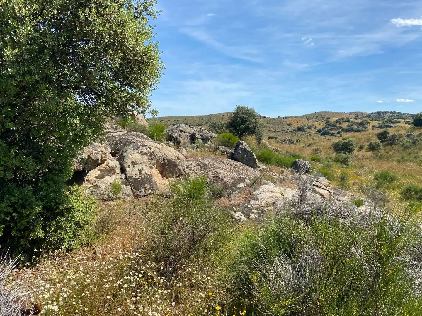 Terreni e lotti in vendita a Villar del Pedroso, imagen 6