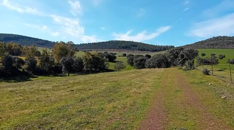 Photo 3 of Residential for sale in Puebla de Don Rodrigo, Ciudad Real