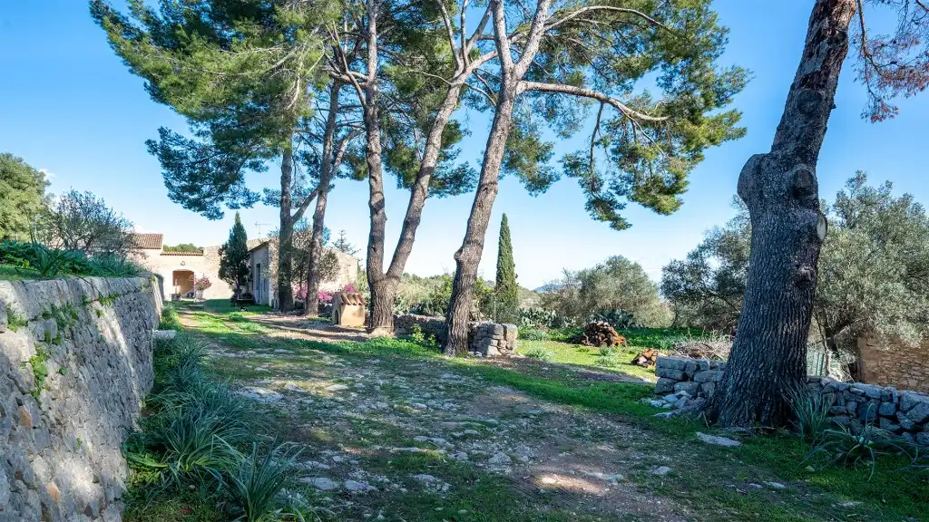 Casa rústica amb piscina en venda a Binissalem, imagen 26