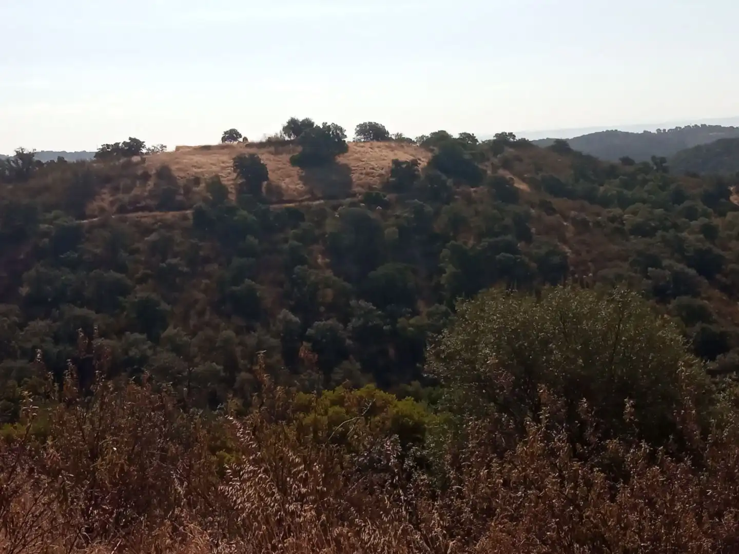 Terreno en venta en Córdoba