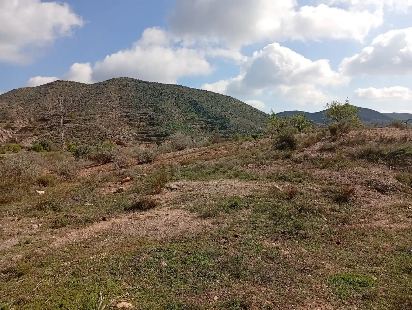 Terreny en venda a Rambla La Higuera, Albox