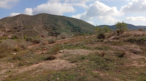 Foto 3 de Terreny en venda a Rambla la Higuera, Albox, Almería