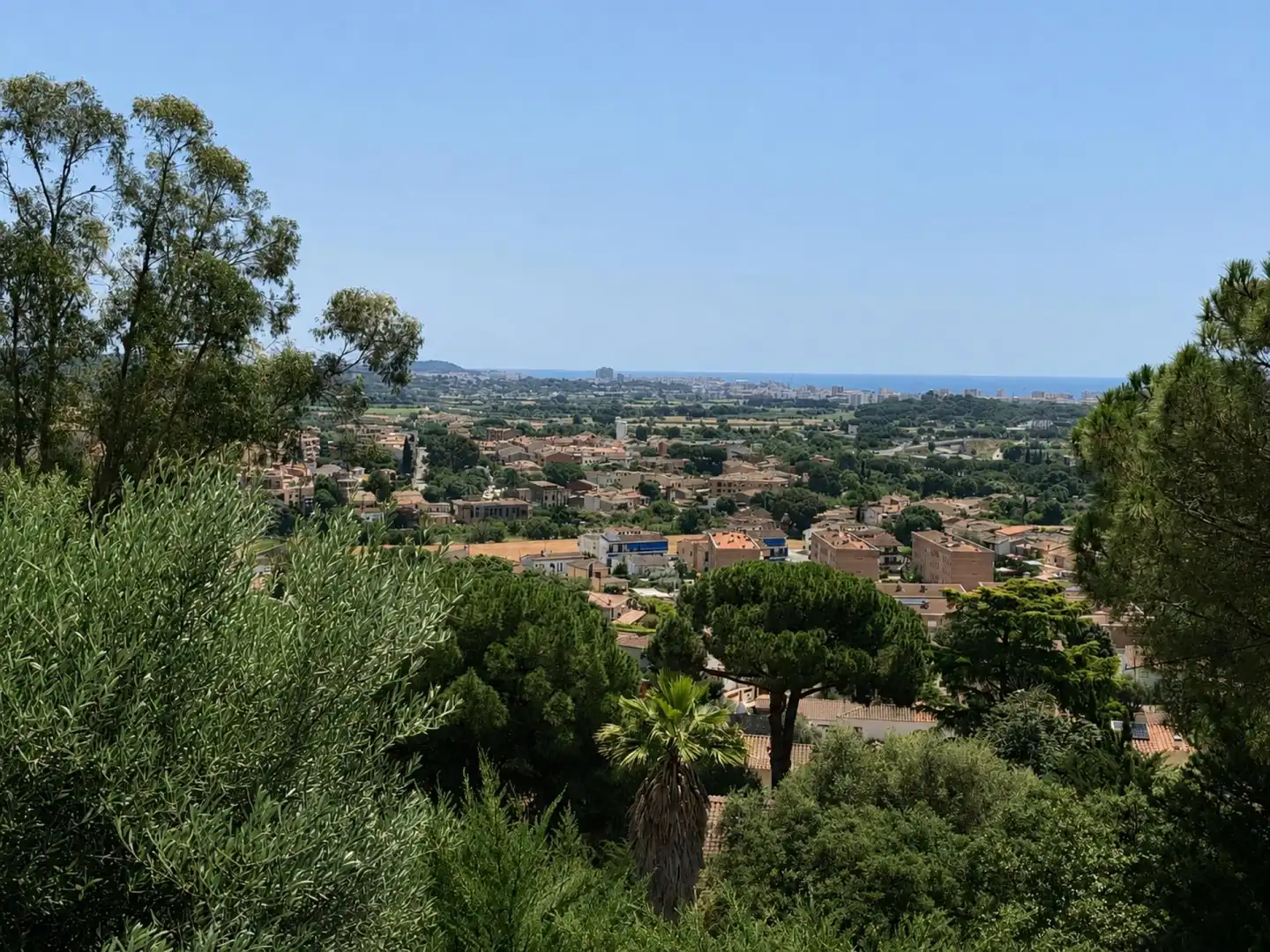 Residential land for sale in de la Selva, imagen 4