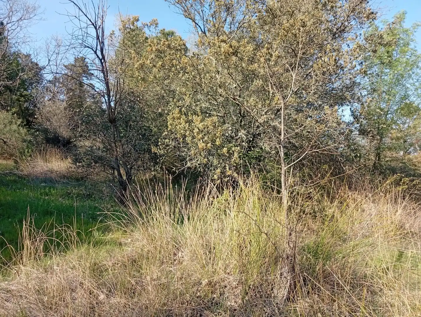 Terreni e lotti in vendita a Villanueva de la Vera, imagen 46