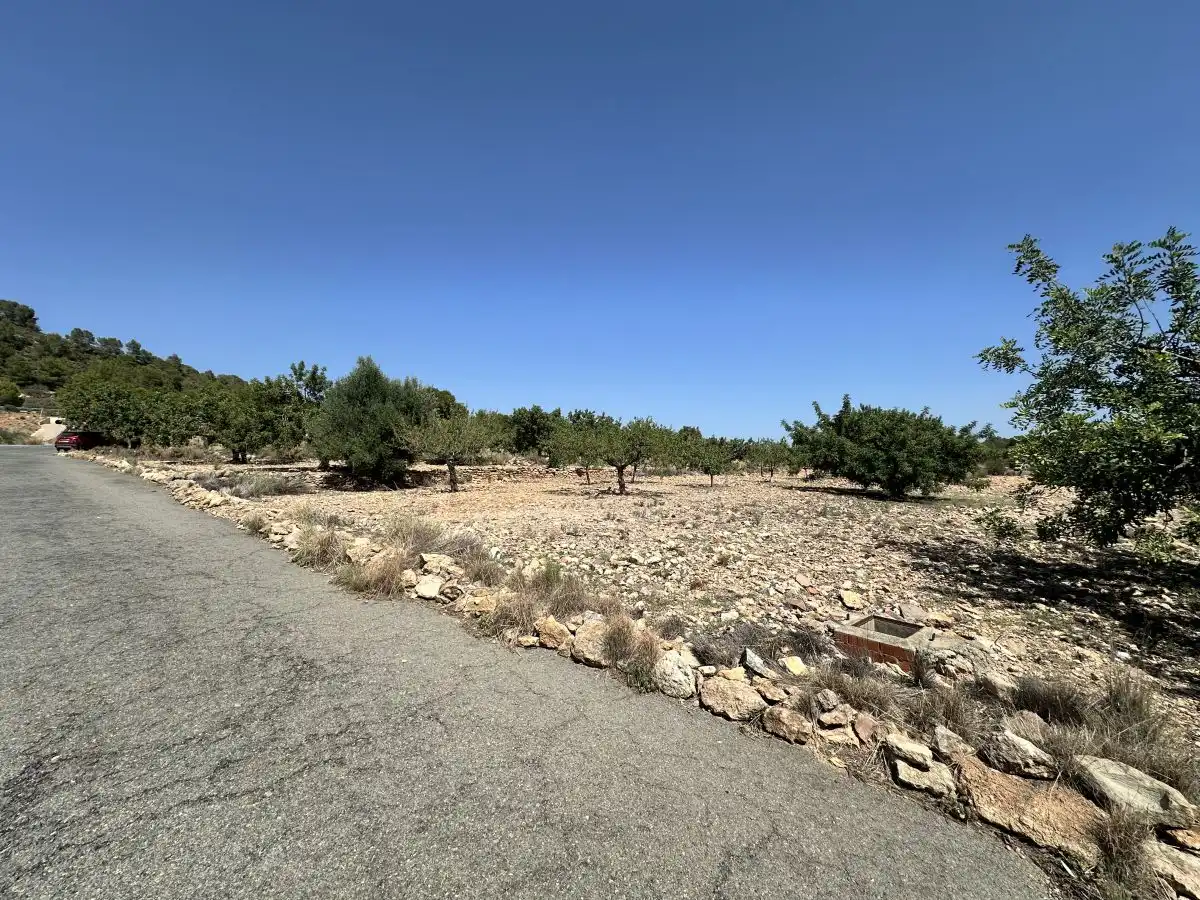 Terreno residencial en venta en Alfara de la Baronia, imagen 22