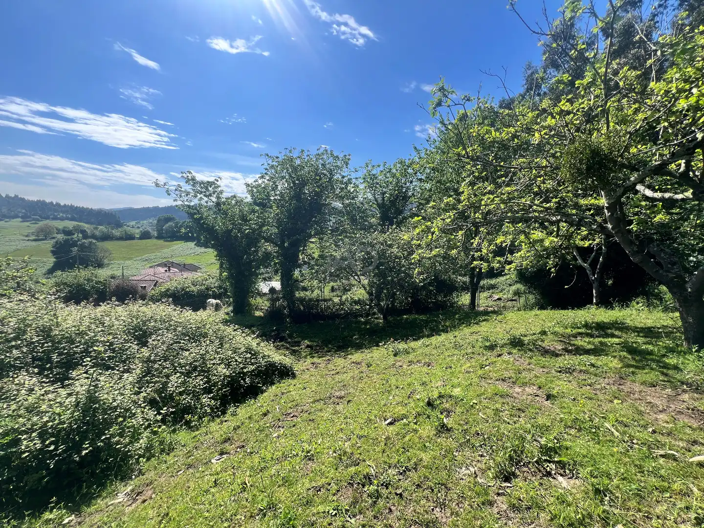 Einfamilien-Reihenhaus zum Verkauf in Castrillón