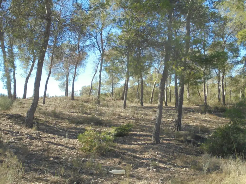 Terreno en venta en Murcia