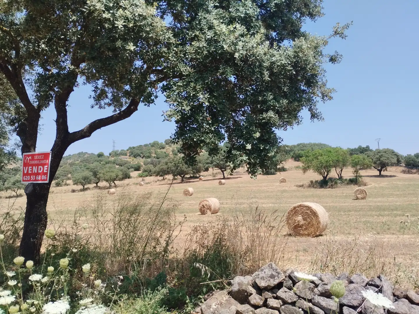 Terreni e lotti in vendita a Jerez de los Caballeros