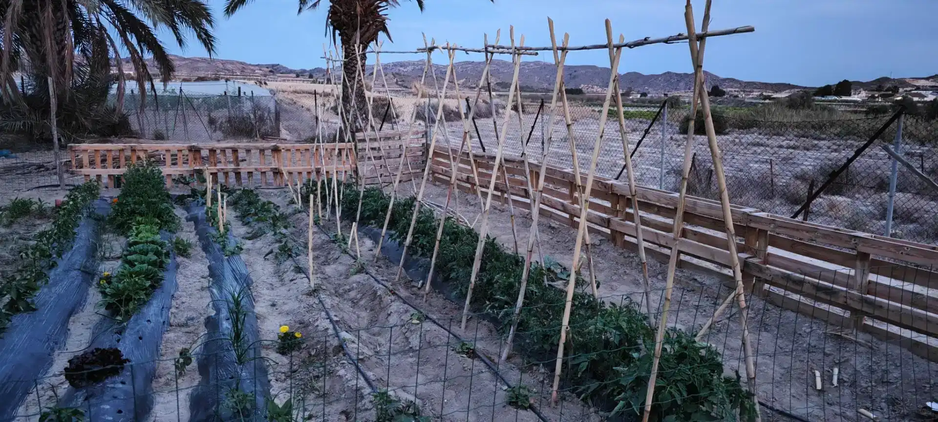 Jardí de Finca rústica en venda en Novelda amb Aire condicionat i Piscina