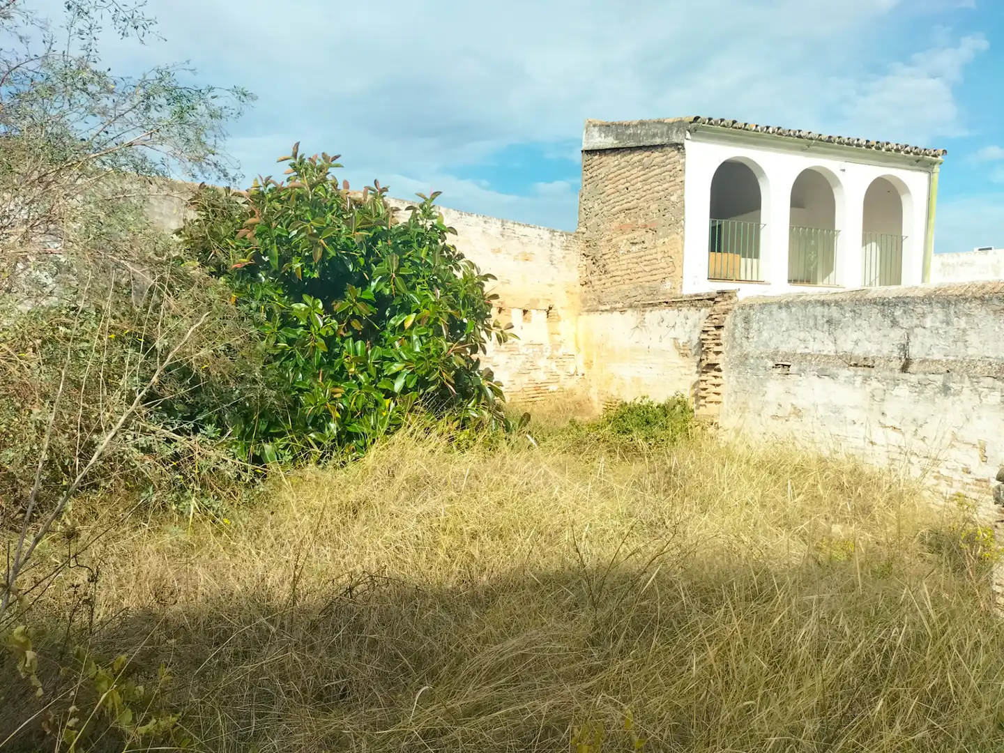 Maison avec terrasse à vendre à Olivares, imagen 16