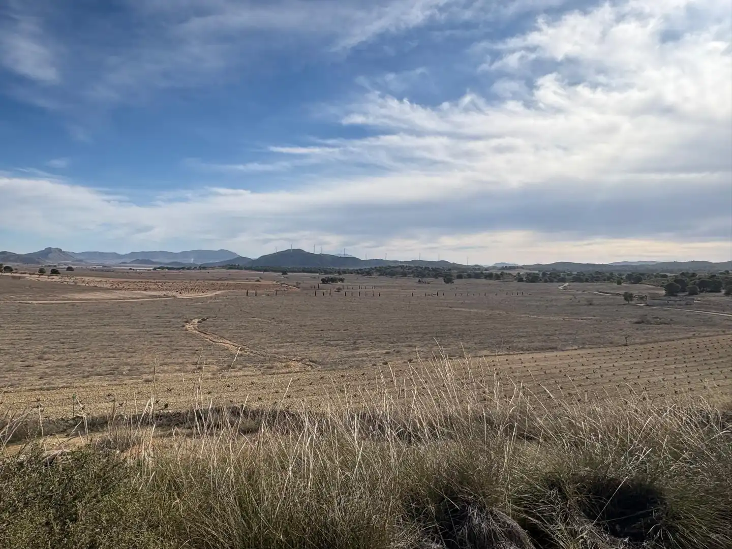 Finca rústica en venta en Ontur