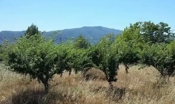 Terreno en venta en L'Orxa / Lorcha