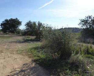 Land for sale in Algimia de Alfara