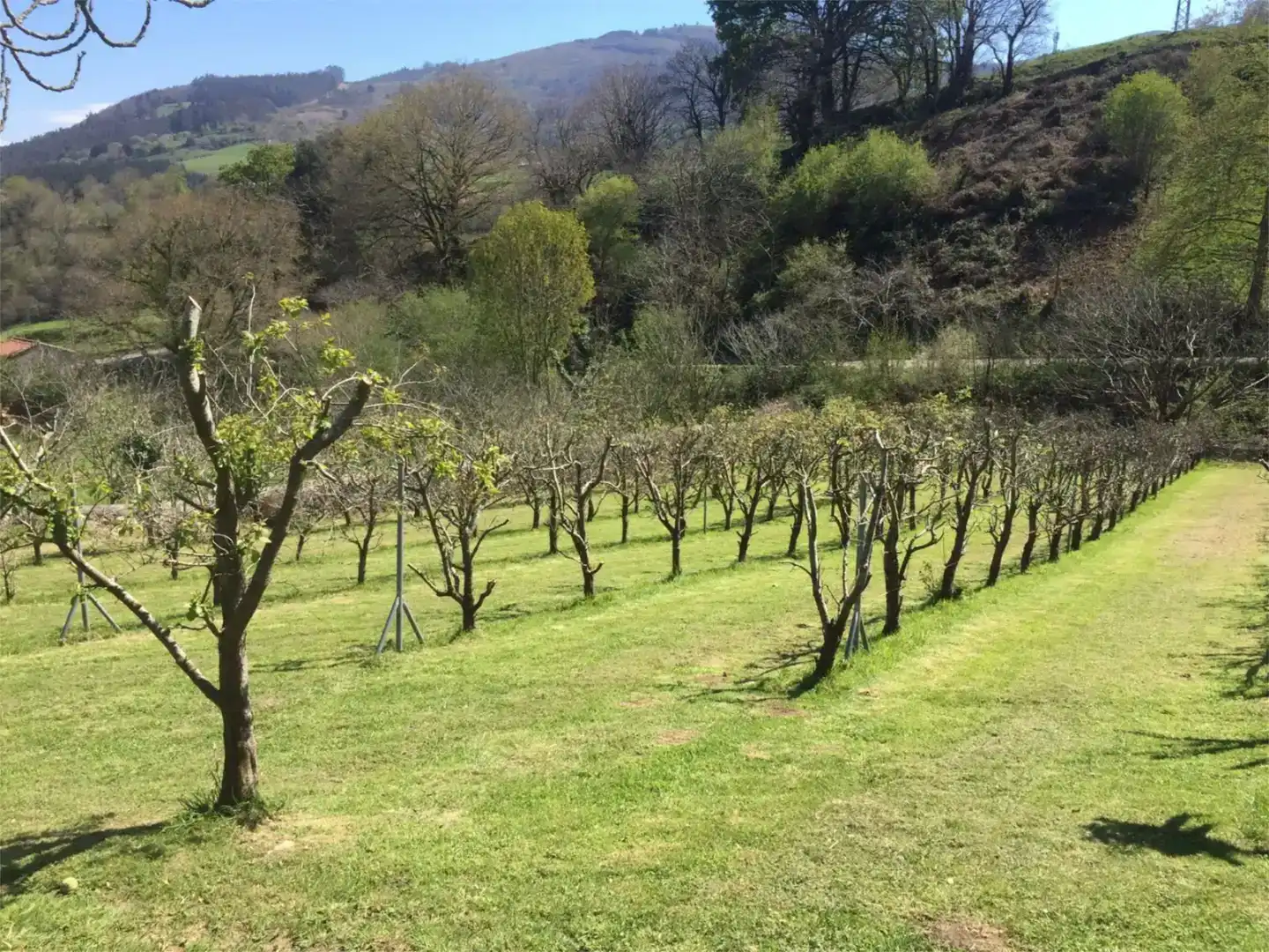 Jardí de Finca rústica en venda en Puente Viesgo amb Aire condicionat i Balcó