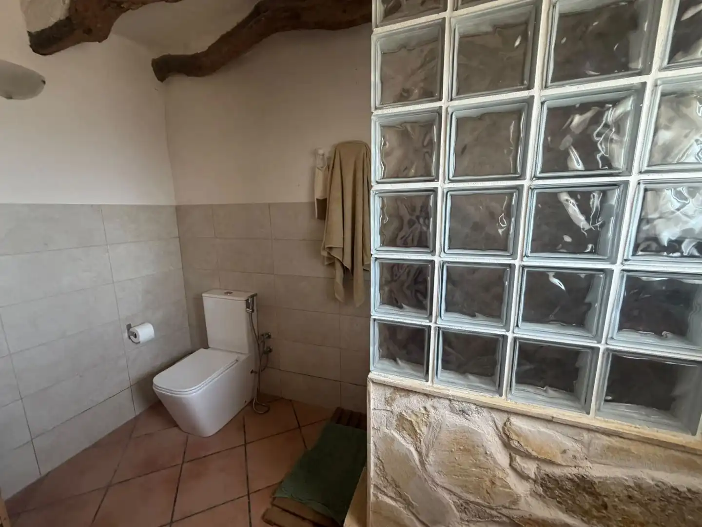 Baño de Finca rústica en venta en Aspe