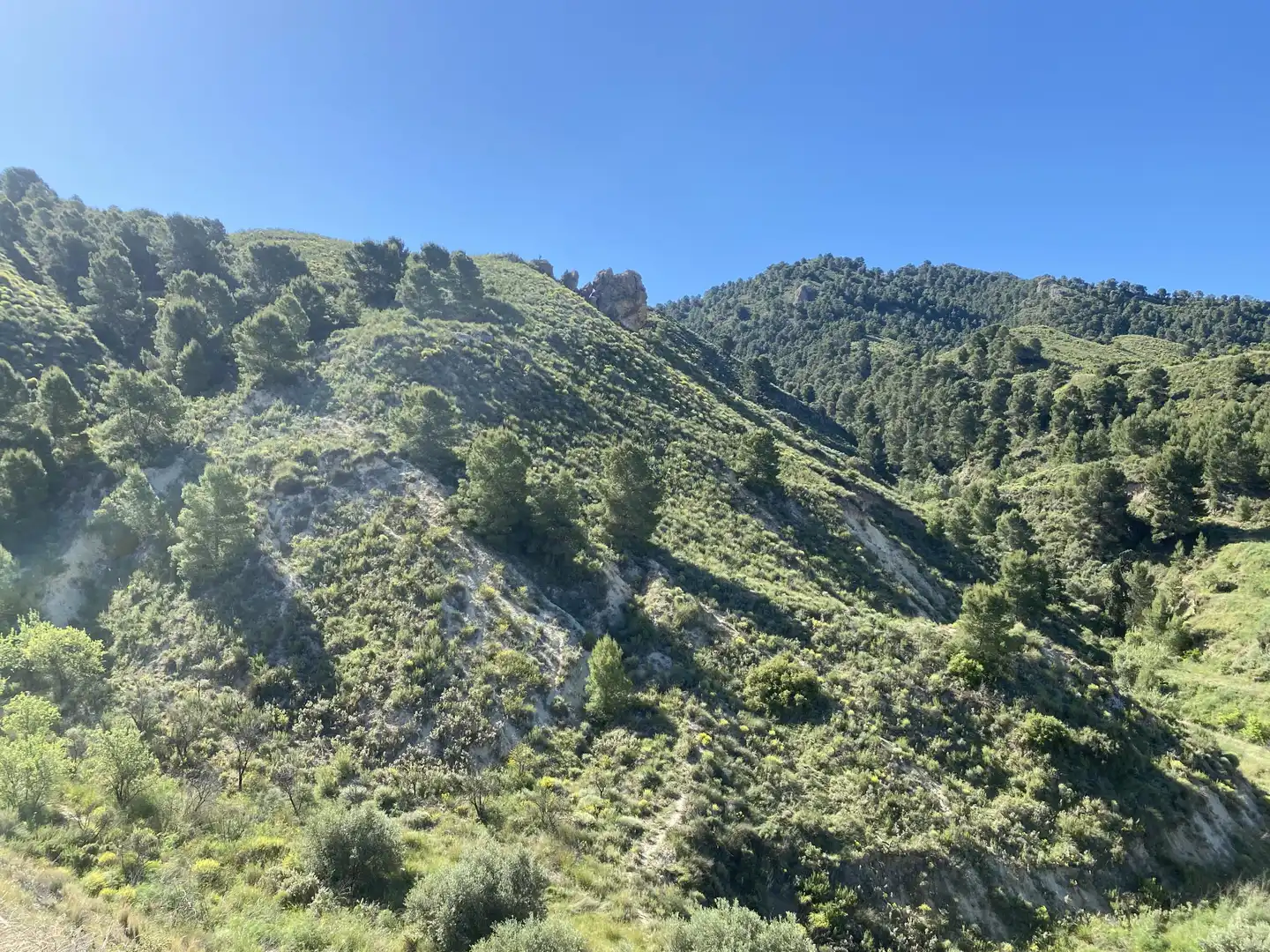 Residential land for sale in 79. Parcela 68