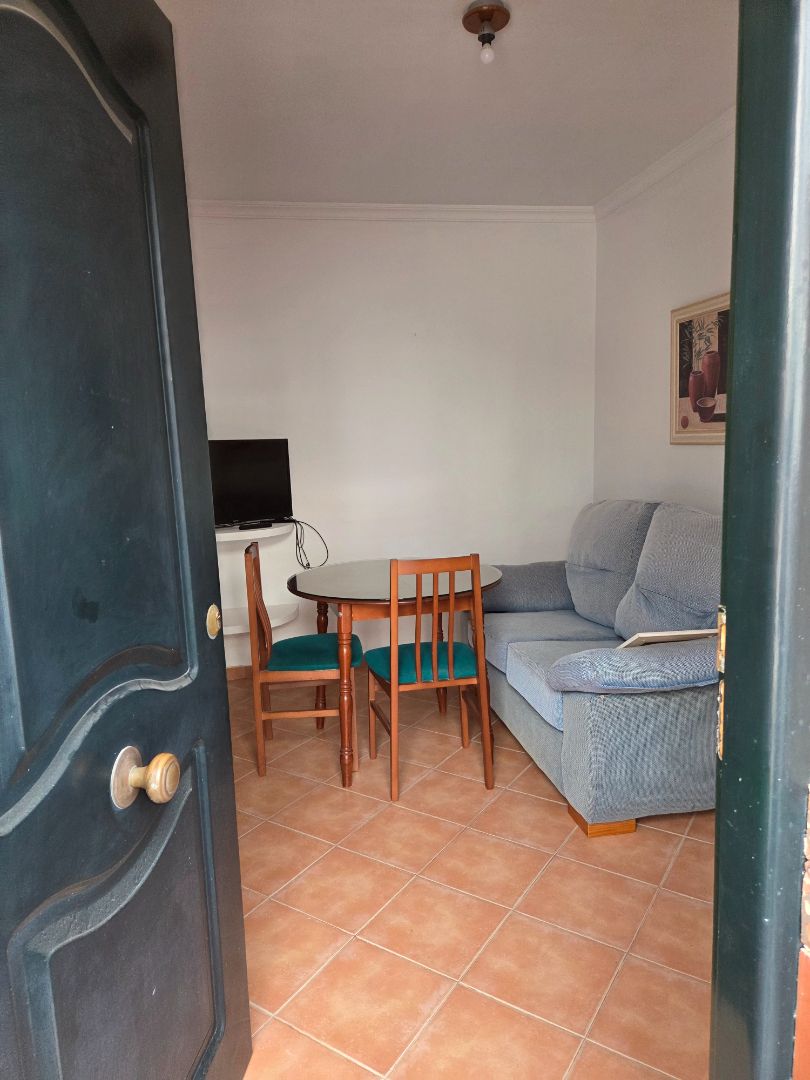 Living room of Apartment to rent in Málaga Capital  with Furnished and Washing machine