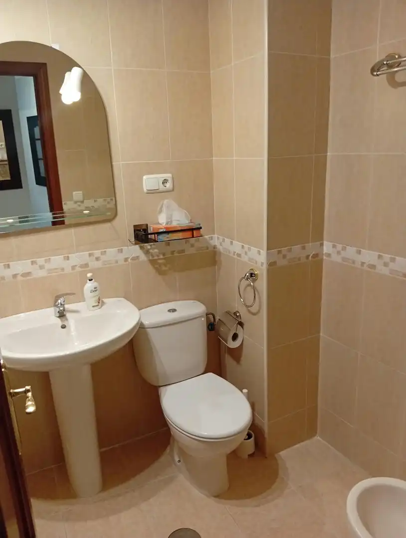 Bathroom of Flat for rent in Centro
