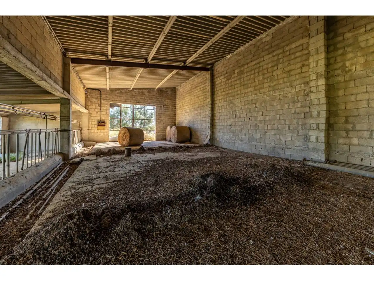 Terreno rustico in vendita a Llucmajor pueblo, imagen 63