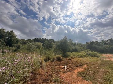 Terreny rústic en venda a Urbanitzacions i Pedanies Nord