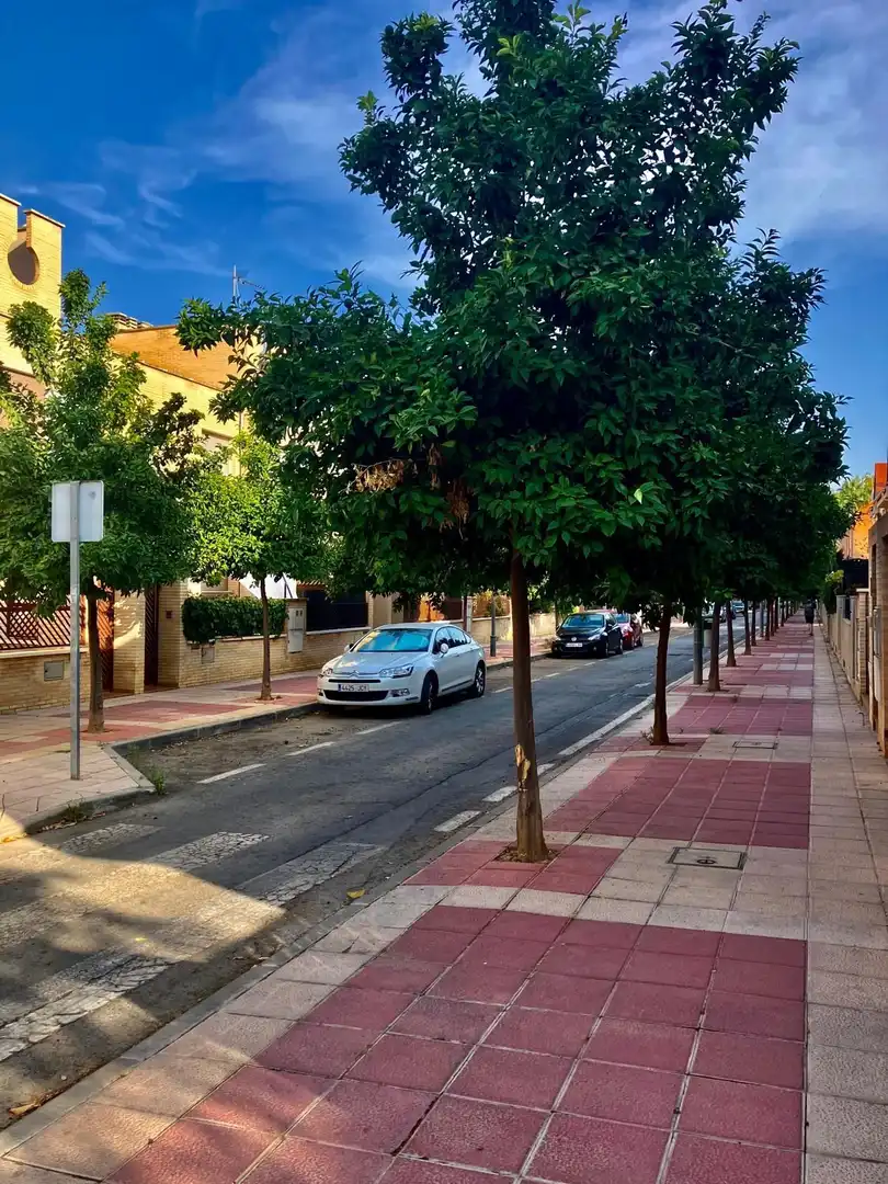 Exterior view of Duplexes for rent in Murcia  with Air Conditioner, Private garden and Terrace