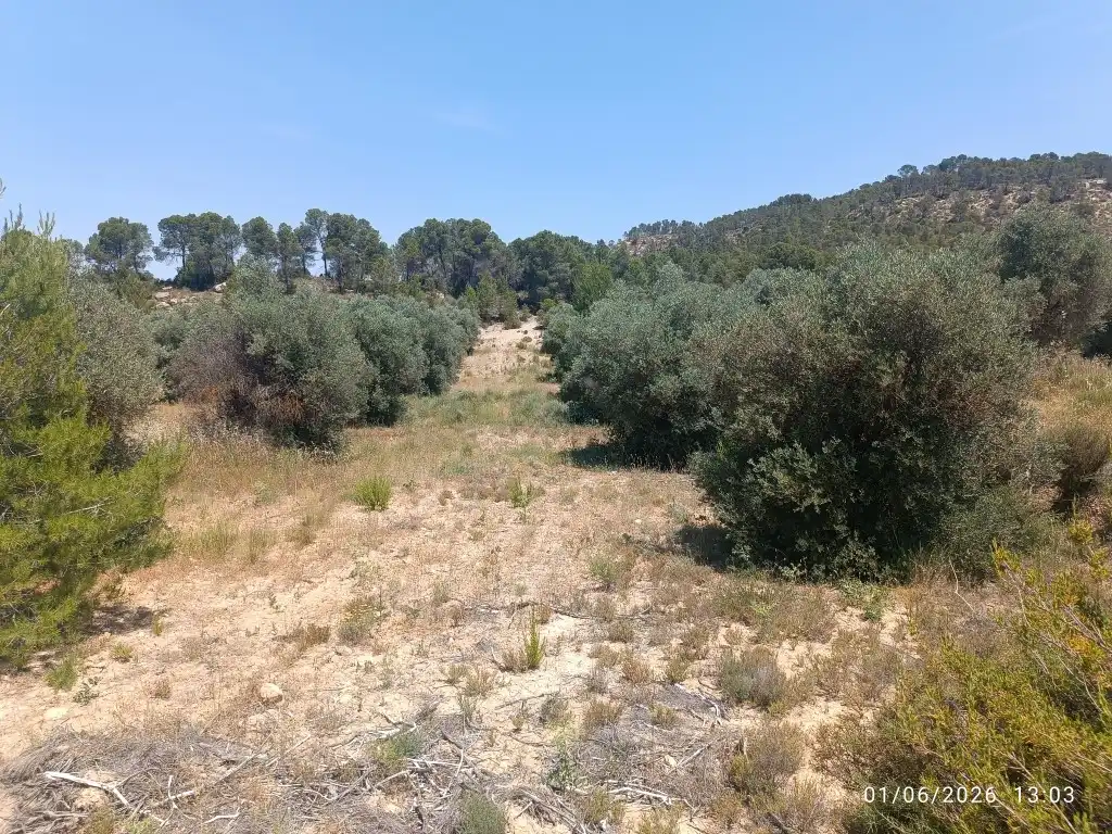 Rural land for sale in N/A, imagen 4