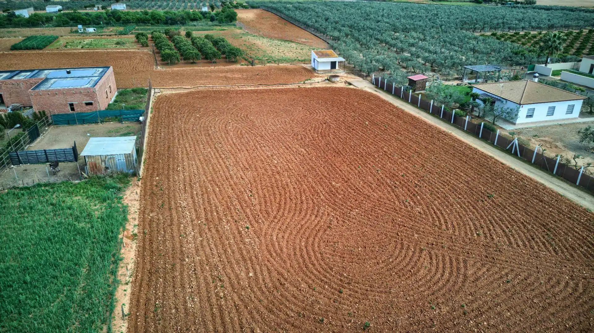 Land for sale in Sanlúcar la Mayor