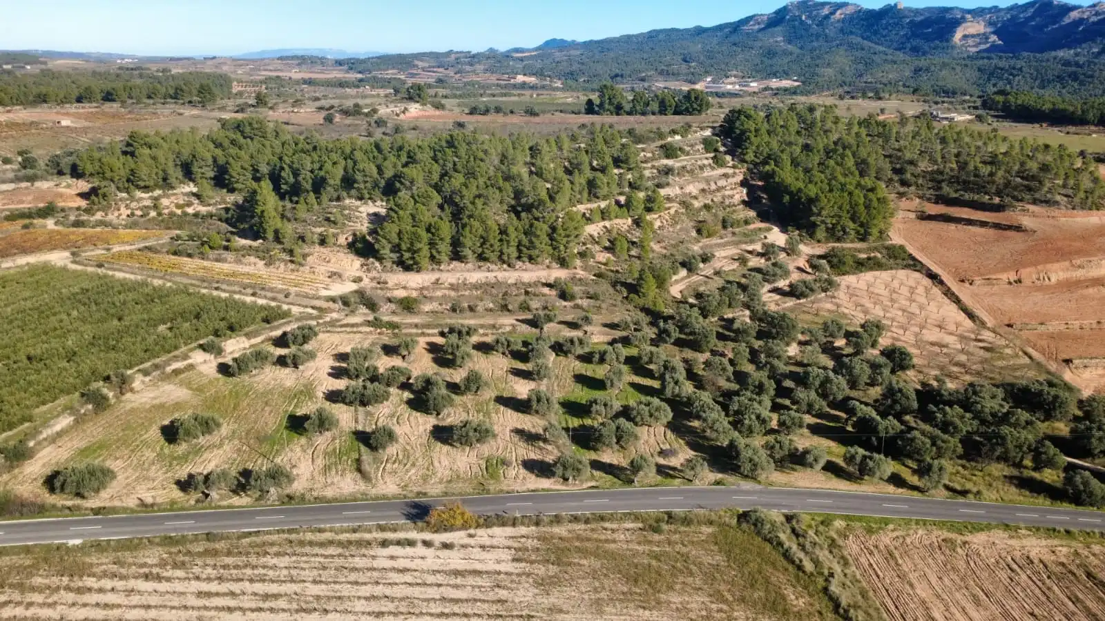 Residencial en venda en Bot