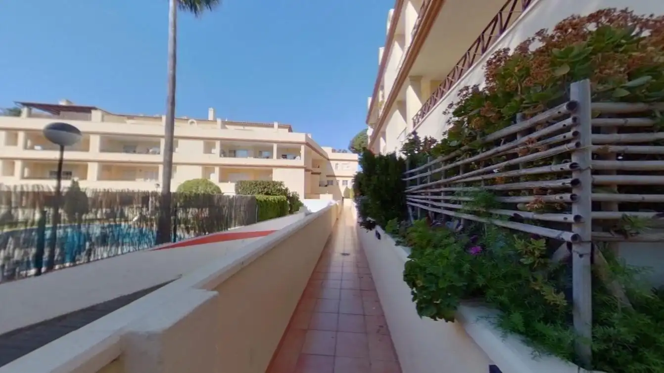 Vista exterior de Dúplex en venta en Marbella