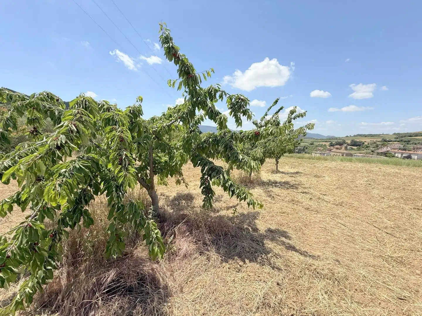 Casa o chalet en venta en Valle de Yerri / Deierri con Jardín privado y Trastero