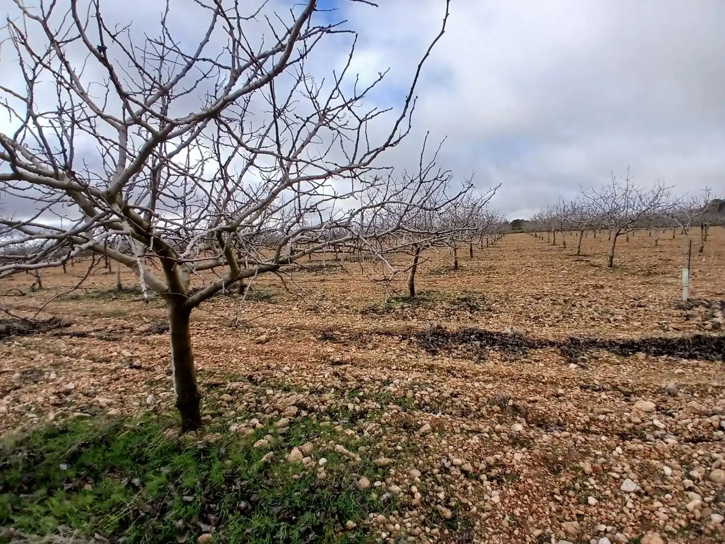 Rural land for sale in Carretera Solana, imagen 9