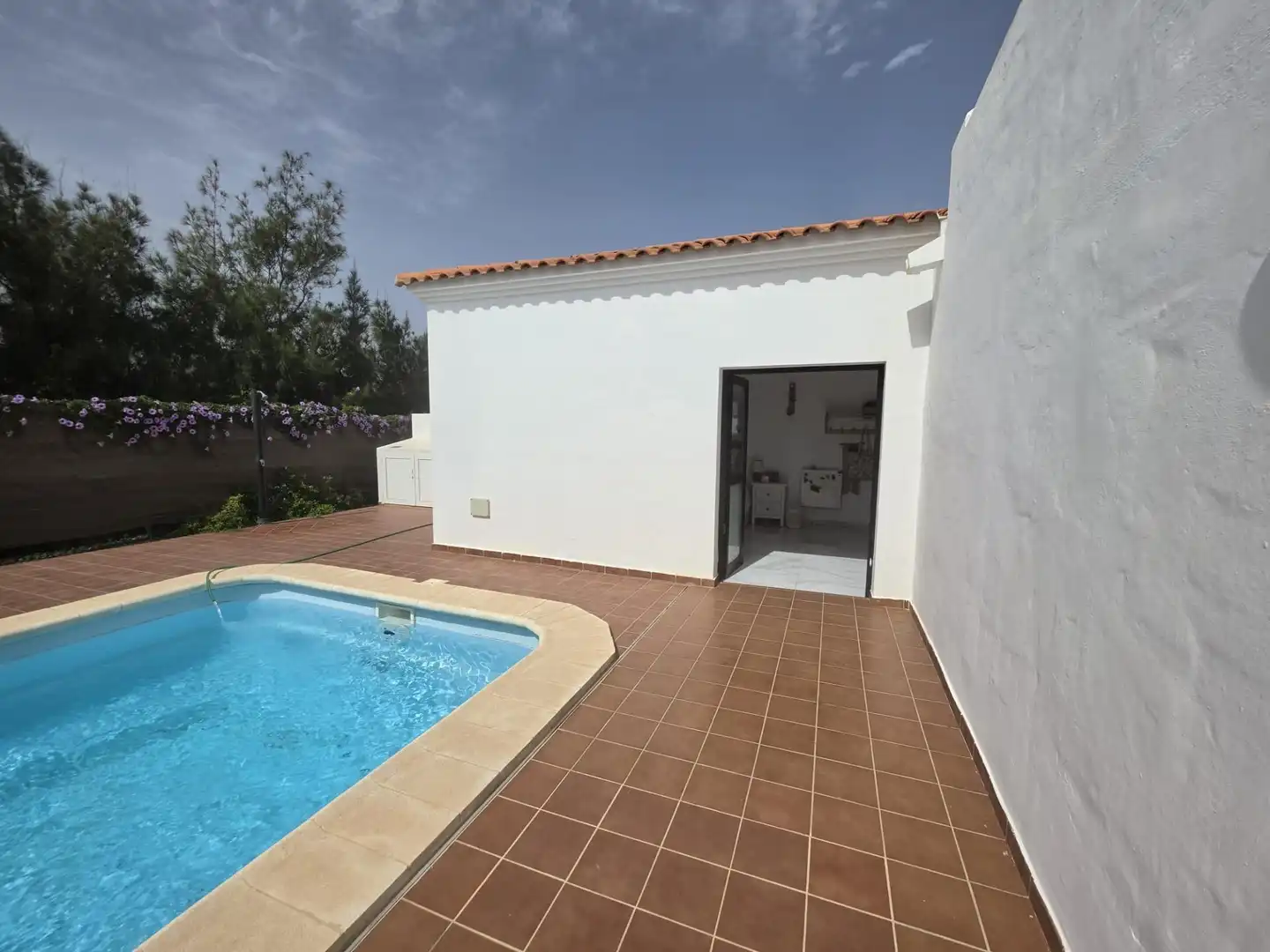 Piscina de Casa o xalet en venda en La Oliva amb Jardí privat, Terrassa i Traster