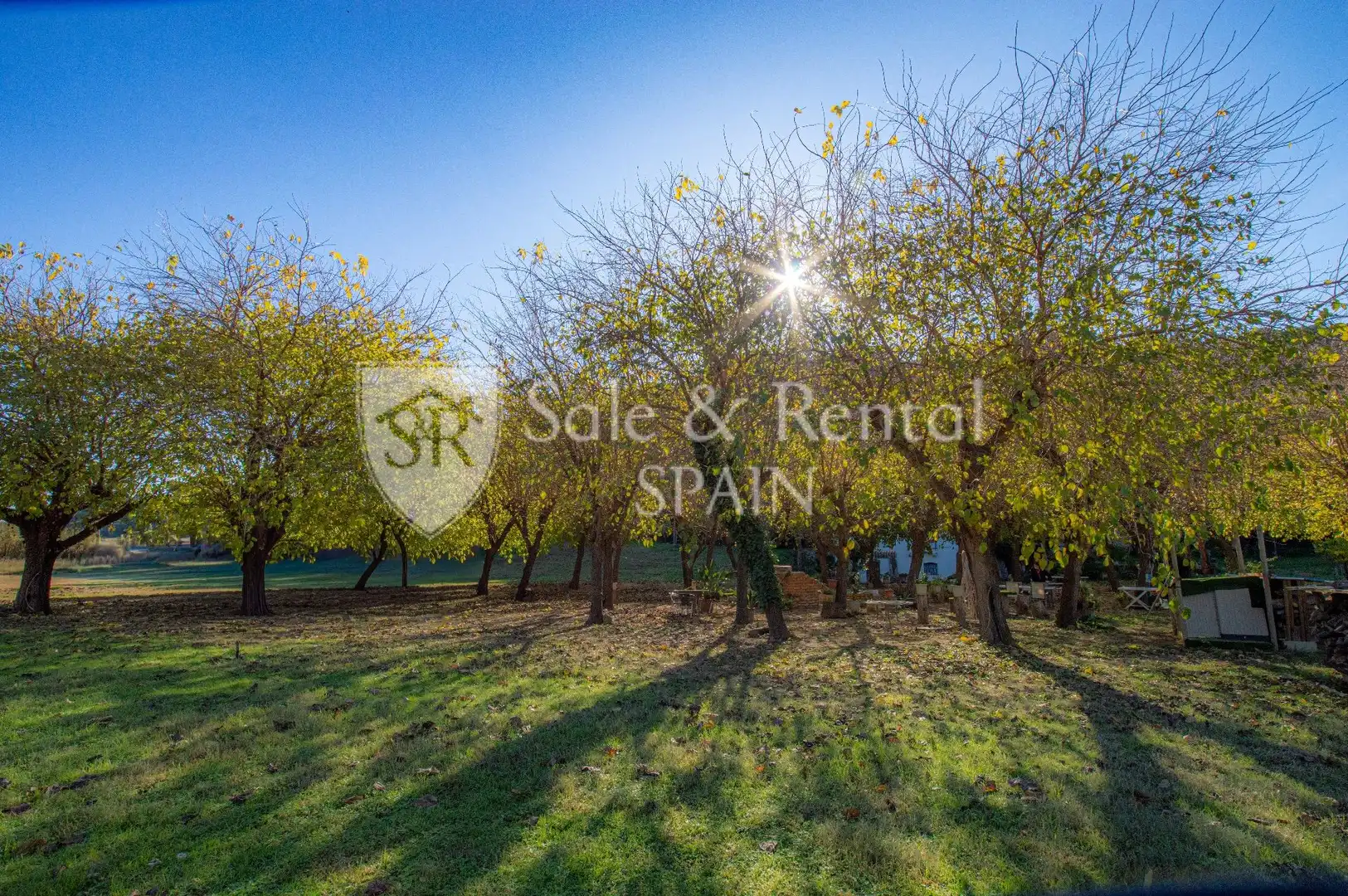 Finca rústica en venda en Sant Pol de Mar amb Jardí privat i Traster