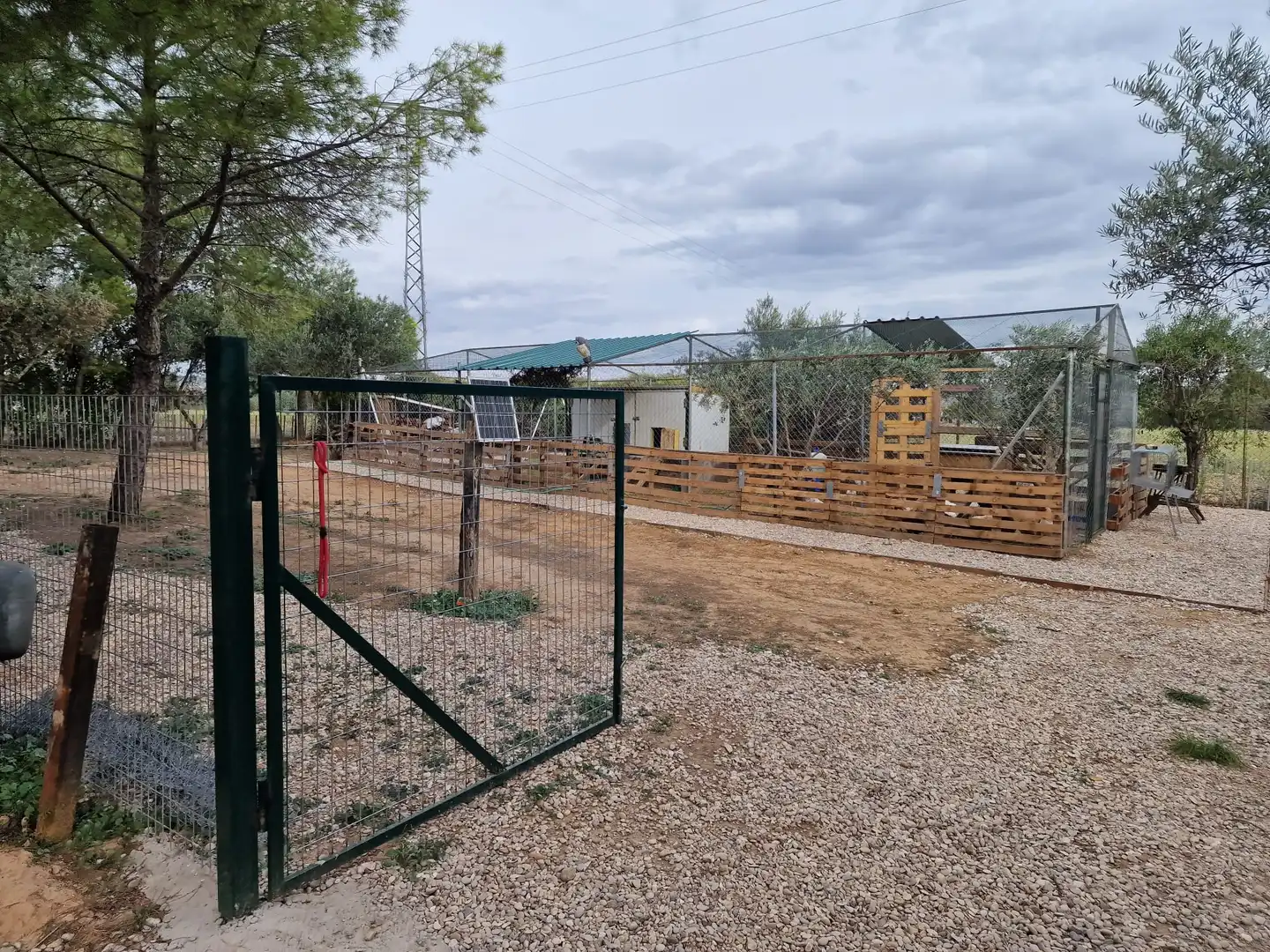 Casa rústica en venda a Calle Baja Azotea, imagen 11
