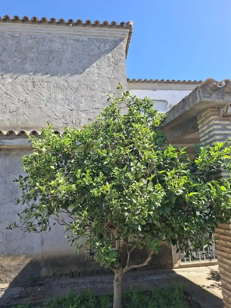 Country homes for sale in Chiclana de la Frontera  with Swimming Pool